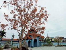 TRƯỜNG TỒN CÙNG THỜI GIAN