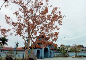 TRƯỜNG TỒN CÙNG THỜI GIAN