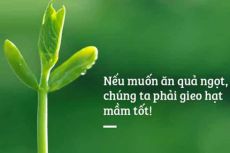 GIEO HẠT