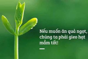 GIEO HẠT