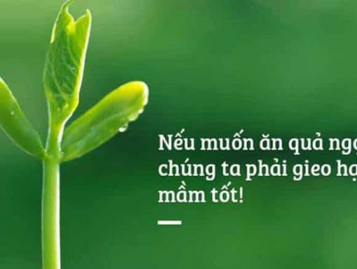 GIEO HẠT