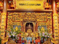 GIỖ TỔ